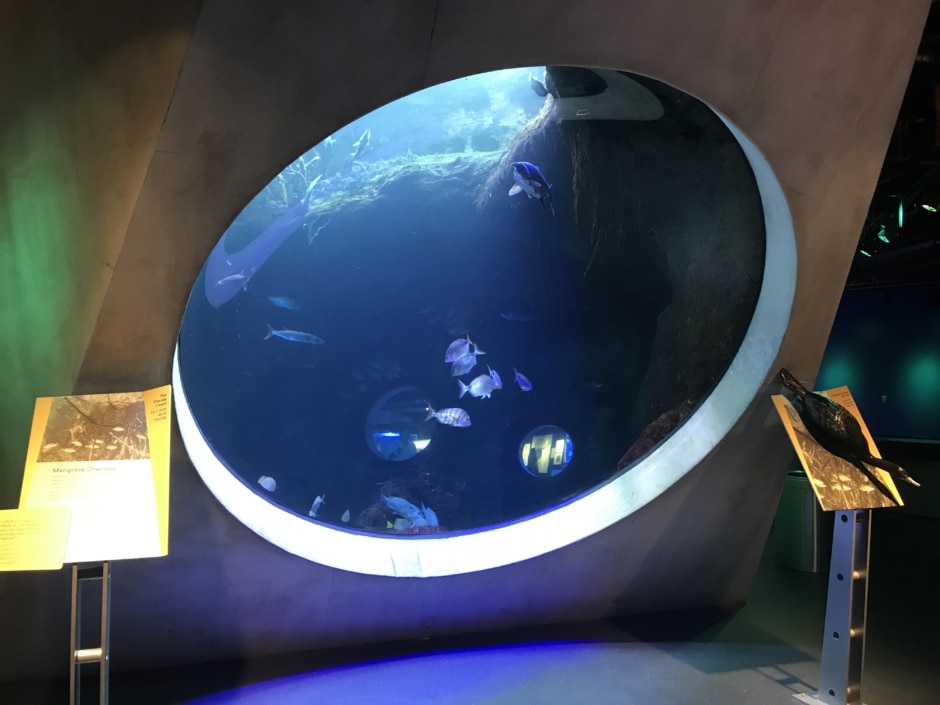 Miami Aquarium Display
