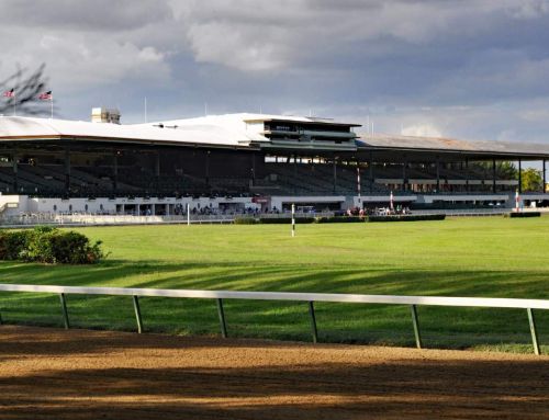 Miami Racing: Where to Watch Horse Racing?