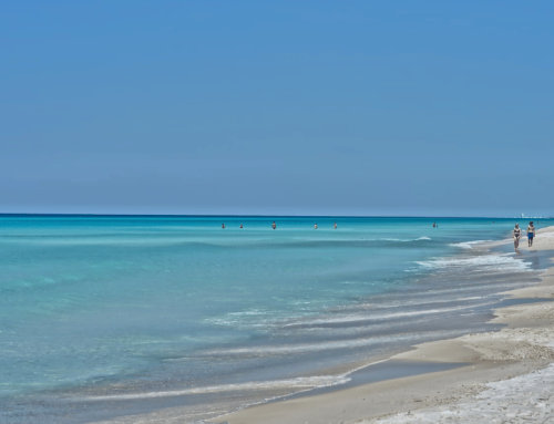 Trip to Florida? Here’s What You Need to Know