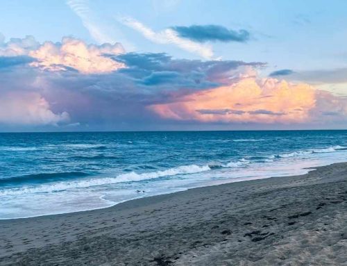 Making Your Money go Further in West Palm Beach