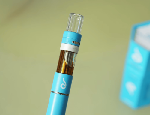 Lost Mary Flavors at Head and Tobacco Shops Closest To Clematis Street