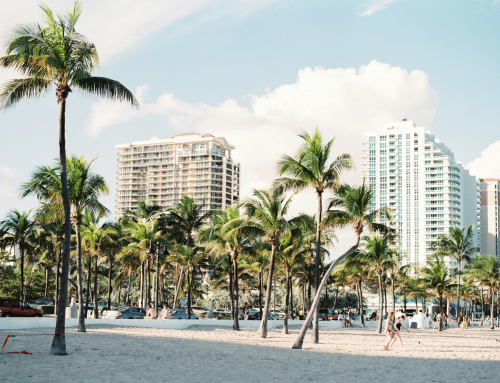 March Madness in South Florida: Fan Atmosphere and Tournament Buzz