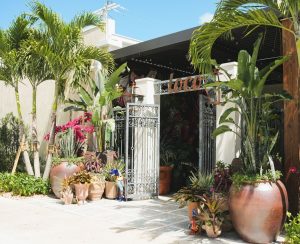 Loco Taqueria & Oyster Bar
